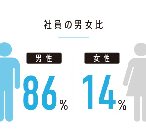 社員の男女比